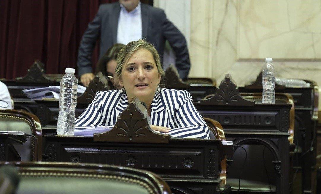 Aborto legal rechazaron la moción de una diputada que pidió aplazar el