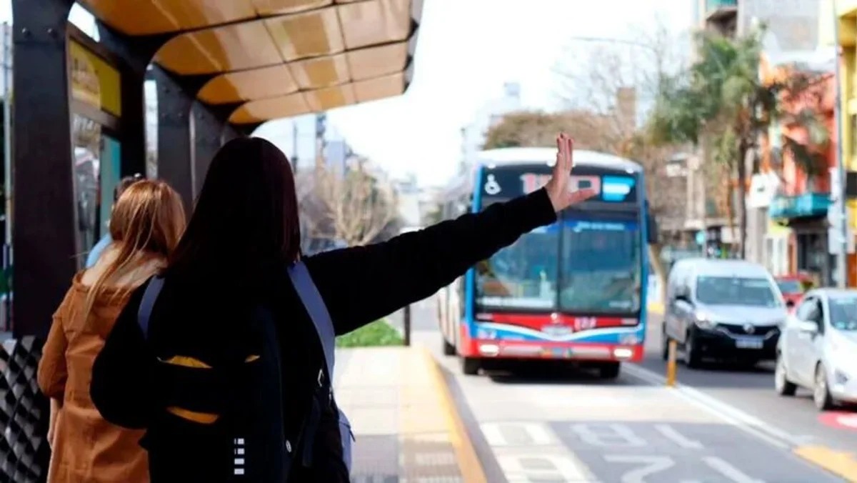 Paro Sorpresivo De Colectivos Y Caos En El Amba Cu Les Son Las L Neas