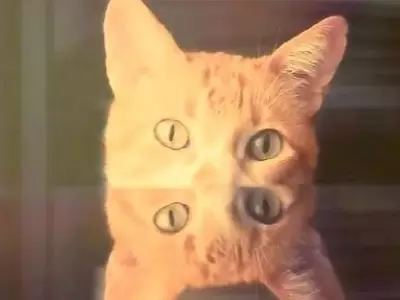 1552073741633