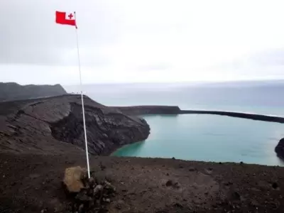 1552074393210