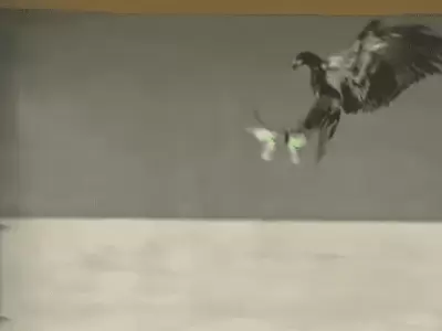 1552076659164