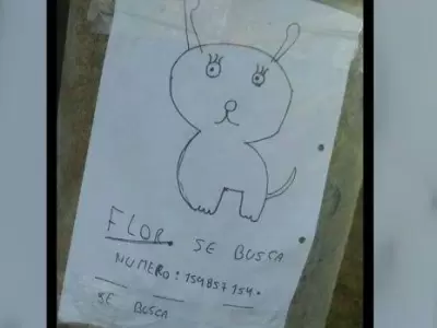 1552078883540