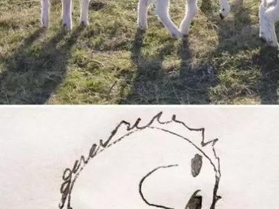 1552082714535