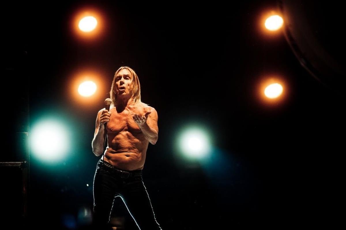 Iggy Pop Lo Indestructible Del Rock Big Bang News