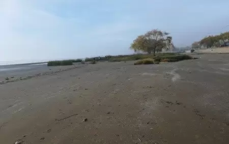 20190602131105_1559488601080