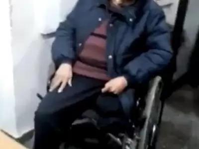 wp