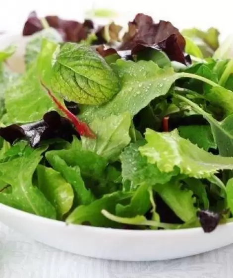 white_bowl_of_salad_greens_on_white_80940670_0