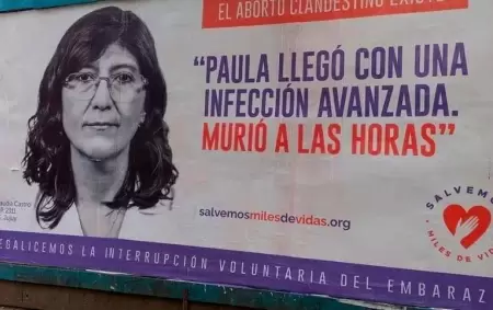 campaa-salemos-miles-de-vidas-medicos-de-todo-el-pasi-argentina-aborto-legal-clandestino-clandestinidad-profesionales-salud-2019-redes-sociales-6