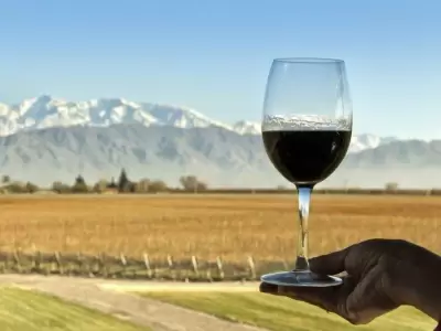 los-mejores-vinos-de-mendoza-argentina-1