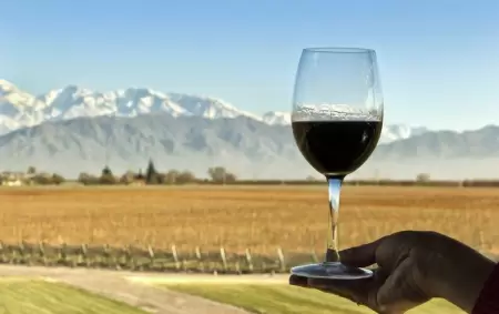 los-mejores-vinos-de-mendoza-argentina-1