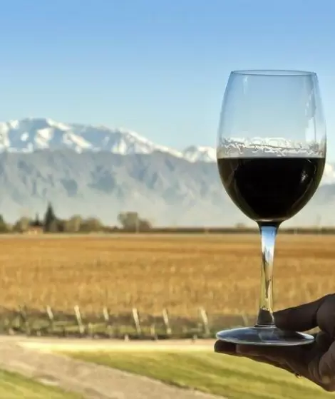 los-mejores-vinos-de-mendoza-argentina-1