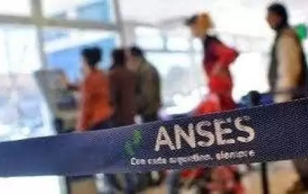 anses