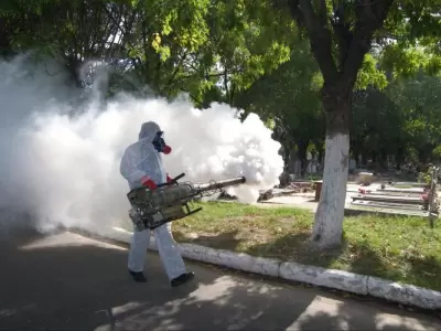 Dengue-fumigaciones