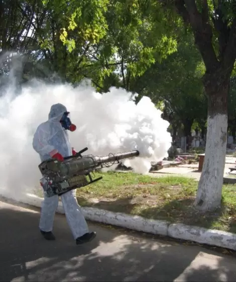 Dengue-fumigaciones