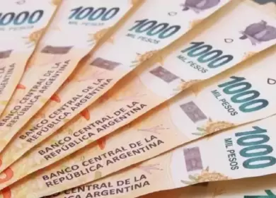 Anses