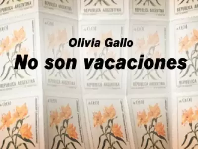 No son vacaciones, el libro de Olivia Gallo
