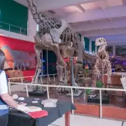 ¡Faltaba algún amigo de Villarruel! La Aduana evitó el contrabando de más de 6000 fósiles de dinosaurios