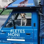 Juan y su perrito "Quinoto": la historia de los compaeros "fleteros" que conmueve a Baha Blanca