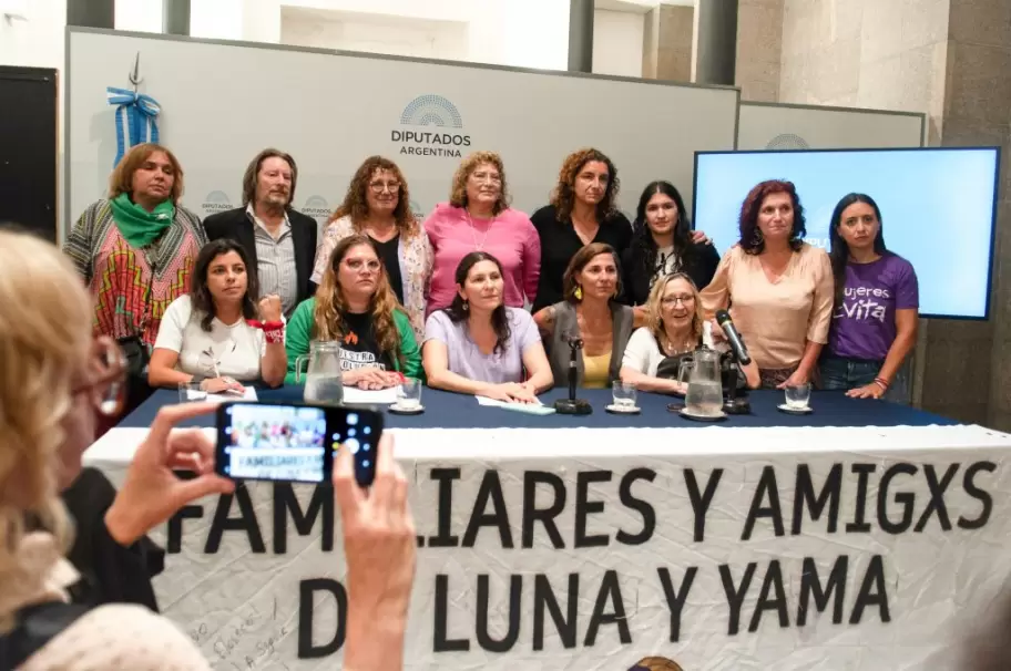 Una conferencia de prensa en reclamo por justicia para Luna Corín.