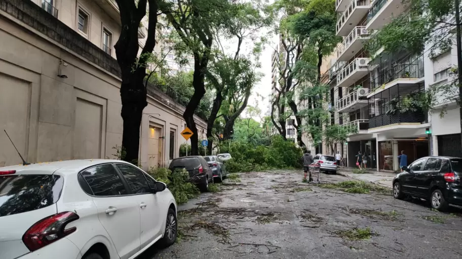 Los destrozos en Palermo