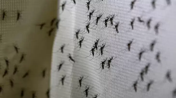 Compre e instale telas mosquiteras en su hogar