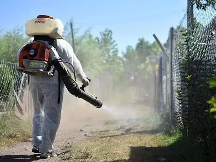 Las fumigaciones no eliminan las larvas de los mosquitos