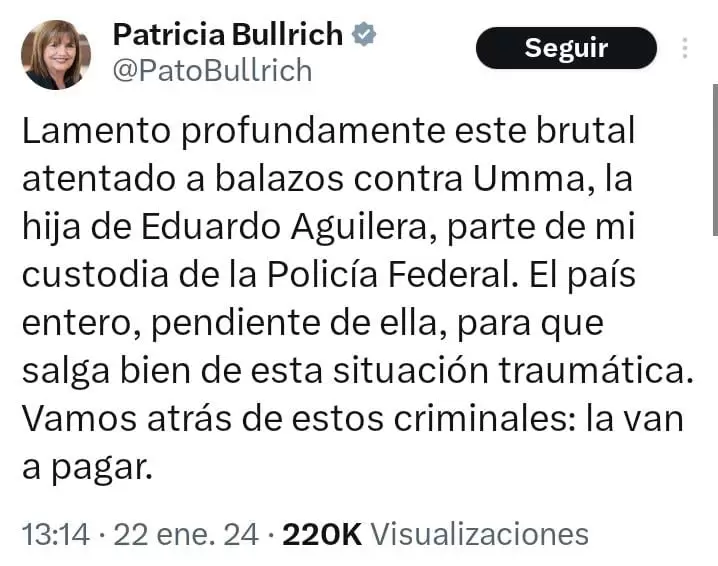 Tweet de Patricia Bullrich por el intento de robo a su custodio.