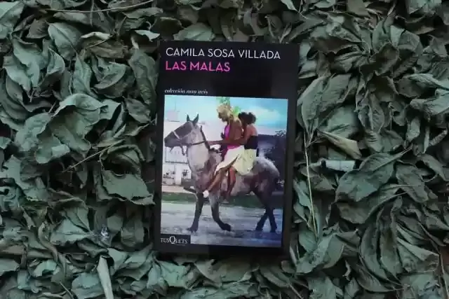 "Las Malas", el libro de Camila Sosa Villada que inspir  a Mina Serrano