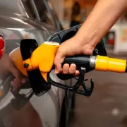 El efecto motosierra de la nueva ley de biocombustibles: golpe a las pymes y 10 mil nuevos desempleados en camino