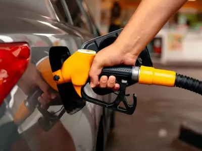 El cambio en al legislaci�n de biocombustibles complicar� el panorama para las pymes del sector.