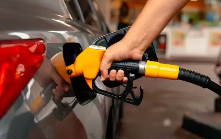 El cambio en al legislaci�n de biocombustibles complicar� el panorama para las pymes del sector.