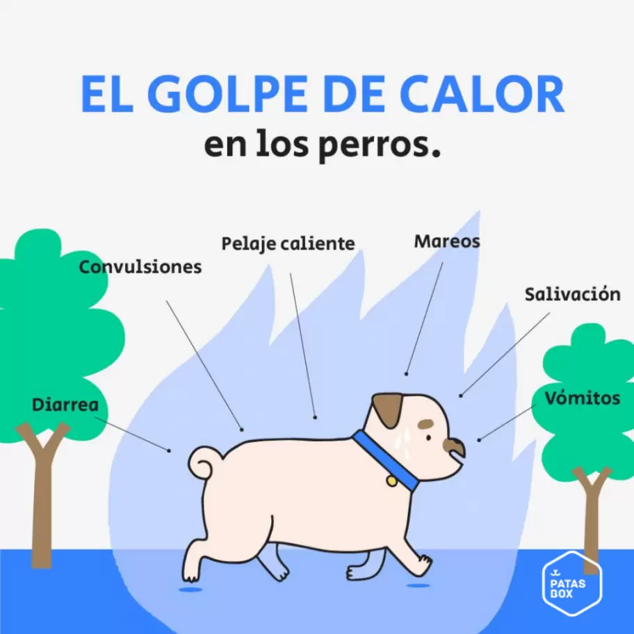 5 trucos definitivos para quitar los pelos de tu mascota de la