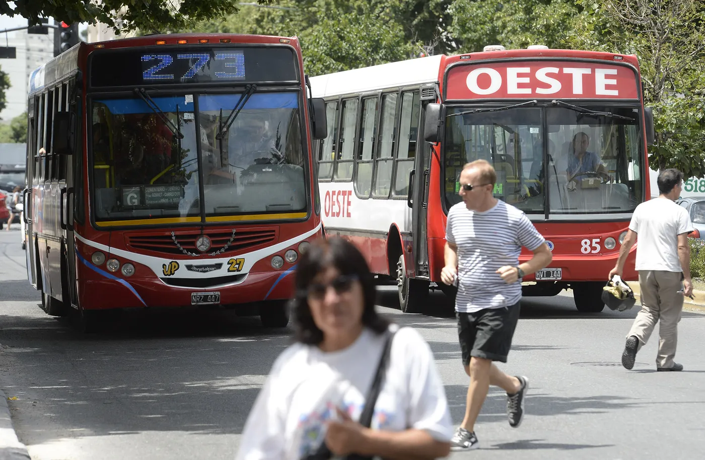 Milei Ordena Retirar Los Subsidios Al Transporte En Todo El País ...