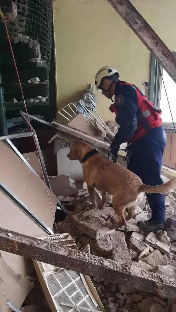 Escenas del derrumbe ocurrido en una vivienda lindera a una obra de construcción ubicada en avenida Pedro Goyena al 551, en Caballito.