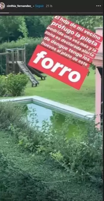 Cinthia denunci a su vecino por tener el agua de la pileta "podrida"