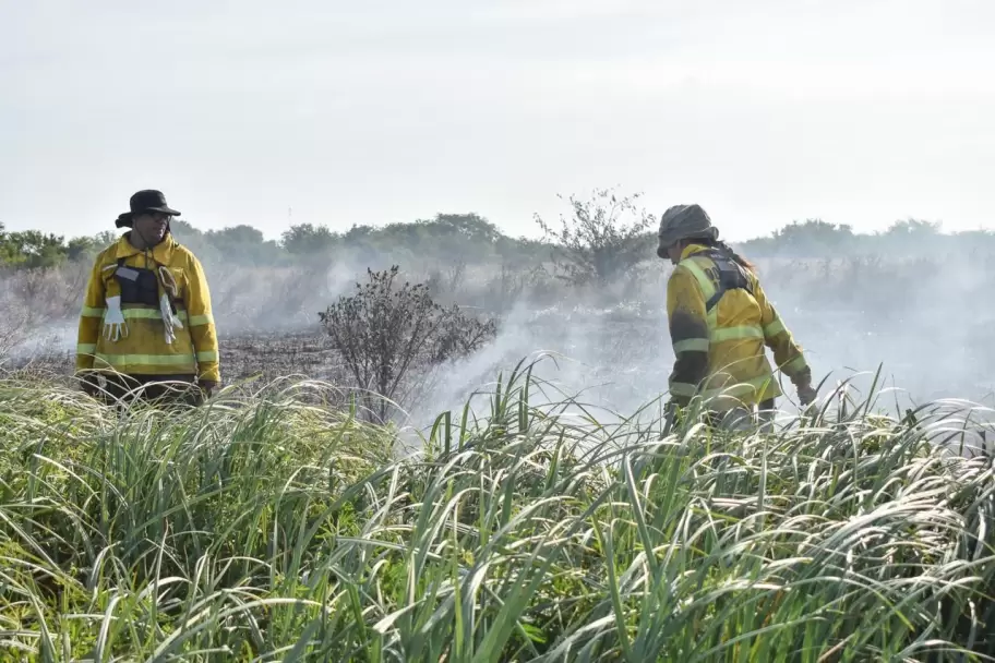 Incendio en la provincia de Buenos Aires