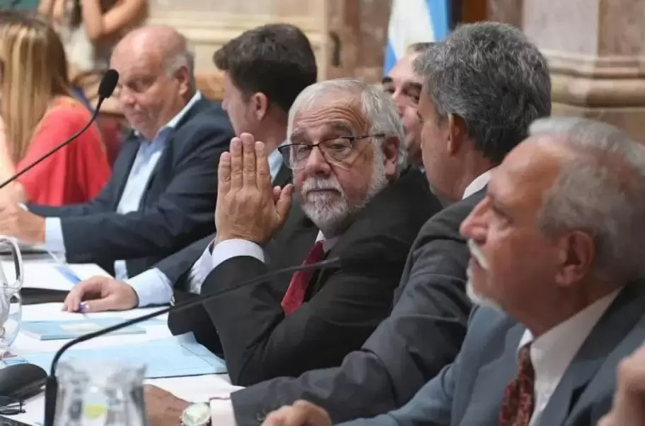 Juan Carlos Pagotto fue designado como presidente de la Comisin BIcameral