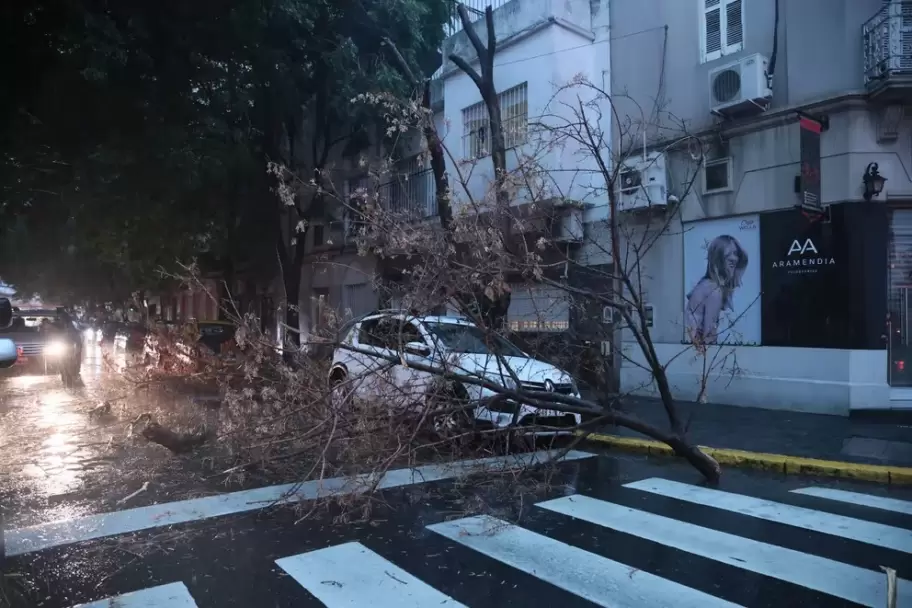 rboles cados en la Ciudad Autnoma de Buenos Aires (CABA) tras el temporal.