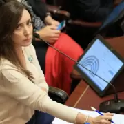 De reversa, Javo: el Senado rechaz el DNU y ahora deber pasar por la Cmara Baja