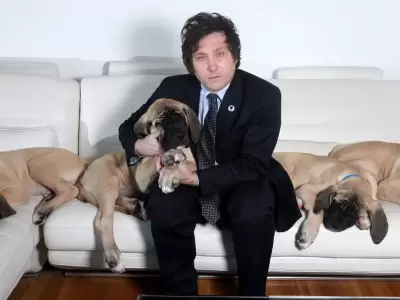 Javier Milei junto a sus perros