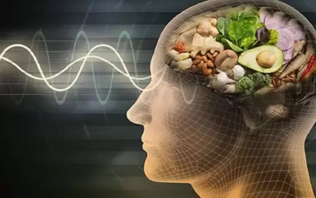 Alimentos que ayudan al cerebro