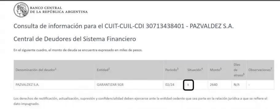 El resultado de la consulta de informacin de la firma de Guillermina Valds respecto a las deudas registradas en el sistema financiera.