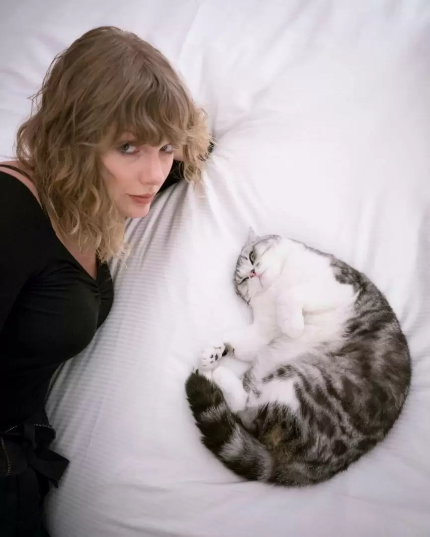 Taylor Swift y Meredith, su gata.