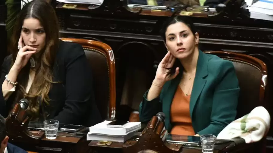 Marcela Pagano en el Congreso.