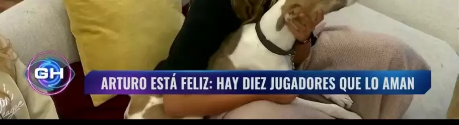 El graph evidente de Telefe para el lavado de imagen tras ser acusados por "maltrato animal".