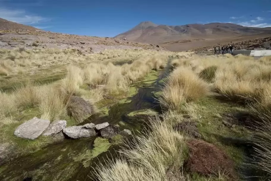 Agua corriendo en un manantial del Silala al sur de La Paz, Bolivia