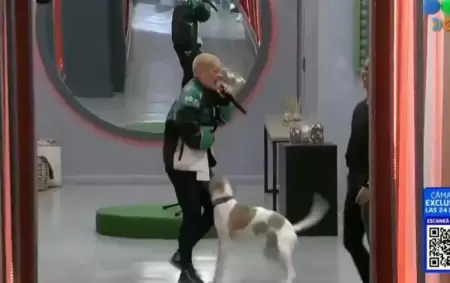 Juliana "Furia" Scaglione a punto de patear al perro Arturo.