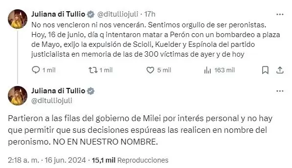 Juliana Di Tullio pidi la expulsin del PJ de Daniel Scioli