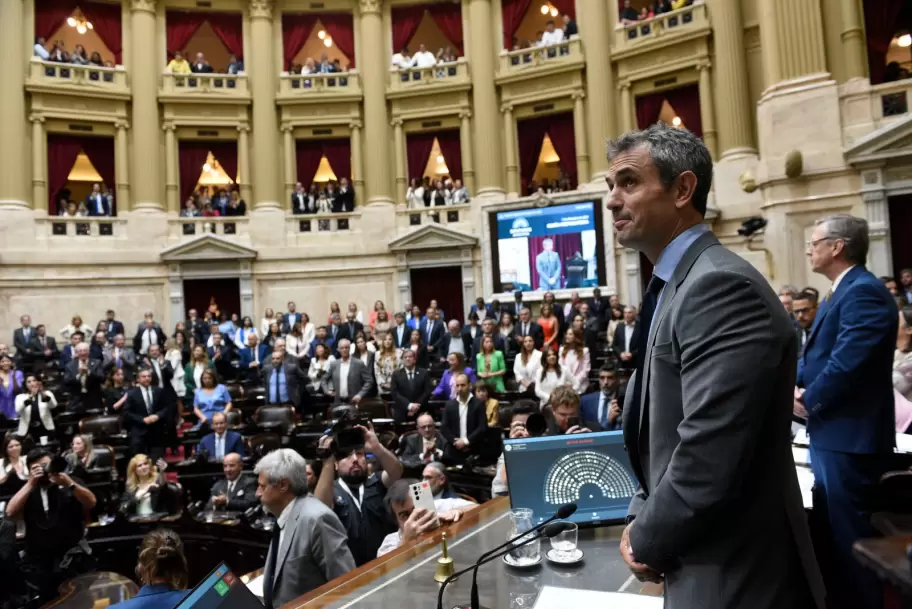 Martn Menem en Diputados