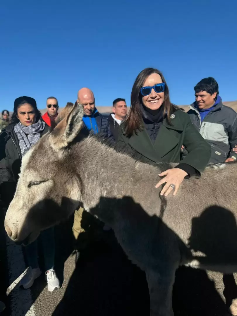 Villarruel con un burro catamarqueo